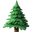evergreen tree