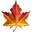 maple leaf