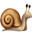 snail