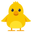 front-facing baby chick