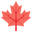 maple leaf