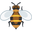 honeybee