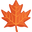 maple leaf