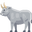 ox