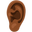ear: medium-dark skin tone