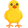 front-facing baby chick