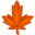 maple leaf