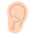 ear