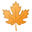 maple leaf