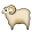 ewe
