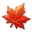 maple leaf