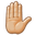 raised hand medium-light skin tone