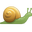 Snail