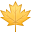 maple leaf