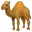 camel