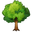deciduous tree