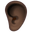 ear dark skin tone