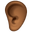 ear: medium-dark skin tone