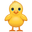 front-facing baby chick