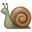 snail